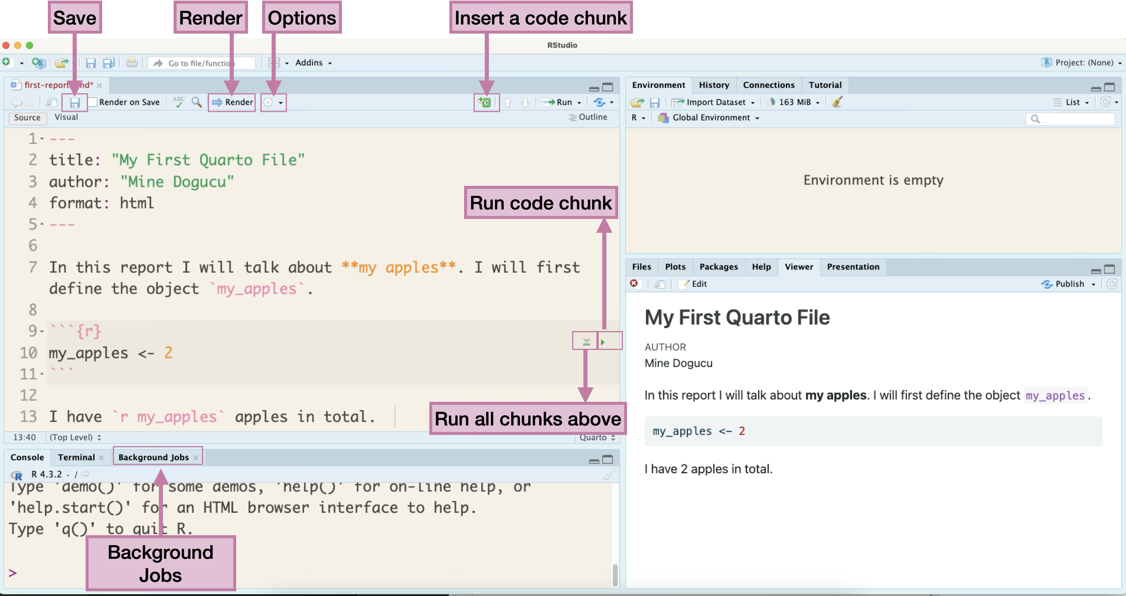 Screenshot of RStudio IDE showing a Quarto document workflow with both source code and rendered output visible. The left side displays the source editor containing a document titled 'My First Quarto File' by Mine Dogucu with html output format. The source includes narrative text 'In this report I will talk about my apples', an R code chunk defining 'my_apples <- 2', and inline R code 'I have r my_apples apples in total.' The right side shows the rendered HTML output with the same title and author, displaying the formatted text with 'my apples' in bold, the executed code chunk showing 'my_apples <- 2', and the inline code result displaying 'I have 2 apples in total.' The interface includes the Render button, toolbar controls, and RStudio panels including Console, Environment, Files, Plots, Packages, Help, and Viewer.