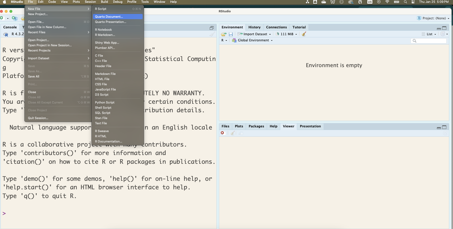 Screenshot of RStudio showing the File menu expanded with 'New File' submenu open. The menu displays various file creation options including Quarto Document