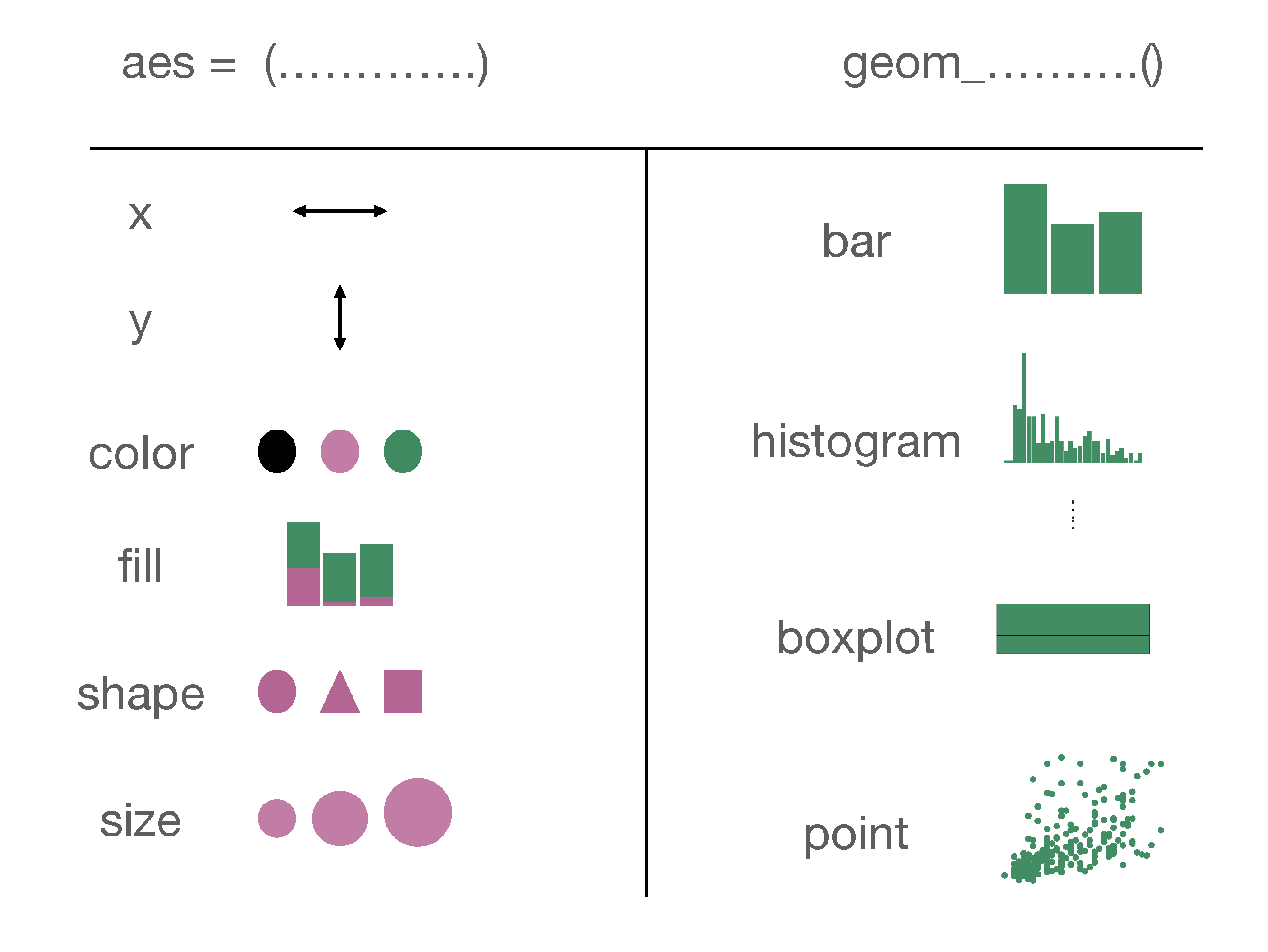 A reference chart summarizing ggplot2 aesthetics and geoms. The chart is divided into two columns. The left column lists aesthetic mappings under 'aes = (...........)'  correspoinding arguments: x and y representing horizontal vertical arrows, respectively. Color groups points using color, such as black, pink, and green. Fill breaks bars based on groups assigning a color to each group, such as a barplot with three rectangles in pink and green. Shape groups points using shapes, such as circle, triangle, and square. Size maps a numerical variable to distinguish the amount of it based on the size of the point, such as pink circles of increasing size. The right column lists geoms under 'geom_.........()' with corresponding icons: bar with three vertical bars with space betweeen them, histogram with a series of small bars touching each other forming a distribution, boxplot with a horizontal box and whiskers, point with a scatterplot of small green dots. The chart visually connects aesthetic options on the left to common geom types on the right.